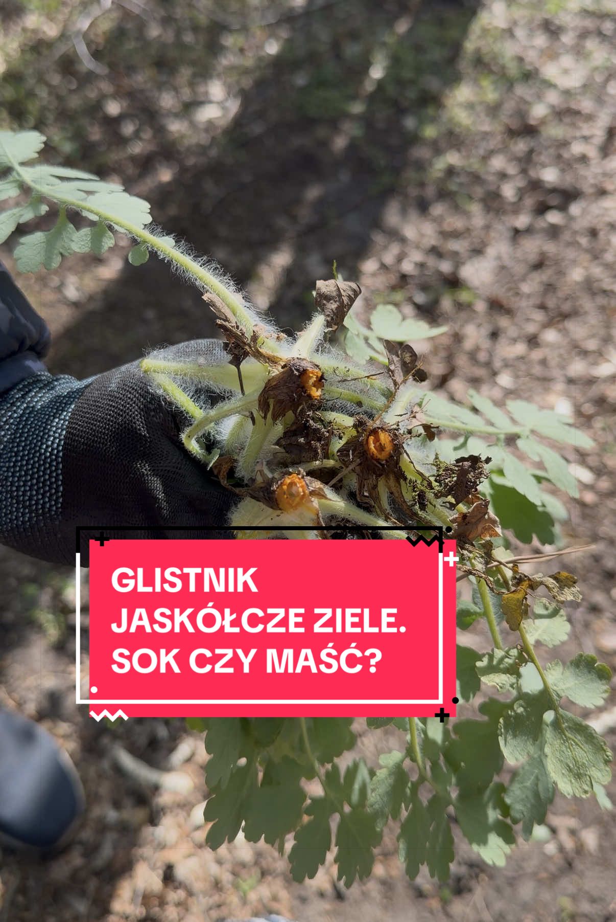 @zacznijodzdrowia.pl