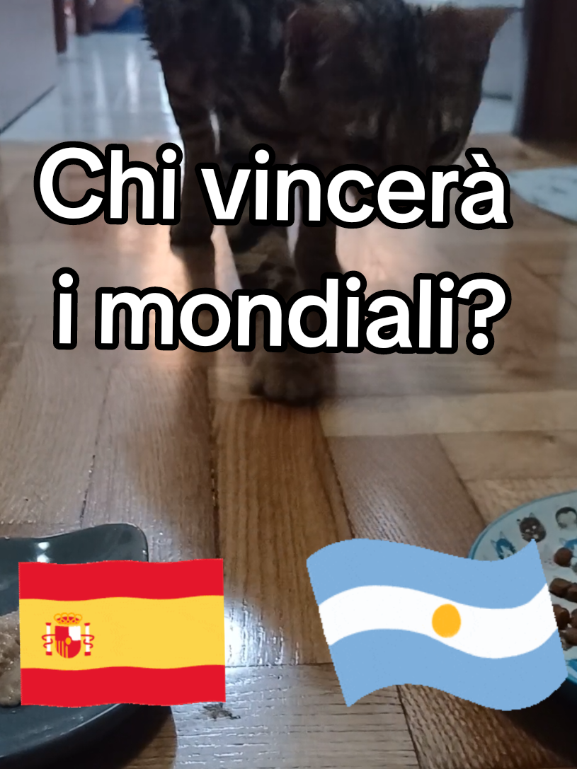 @Rio.supercat