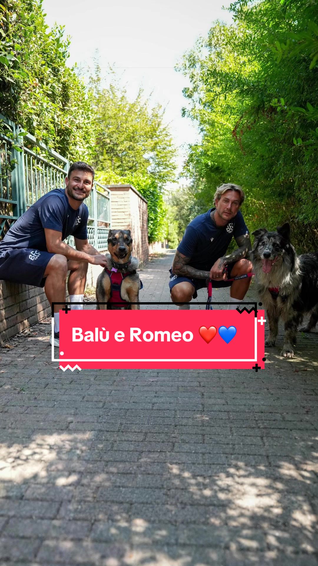 @Bologna FC 1909