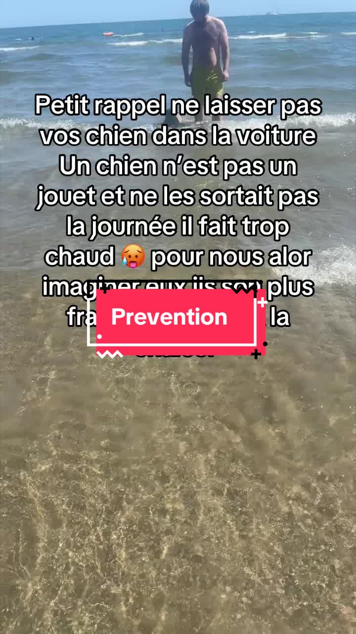 @les aventures de Nina