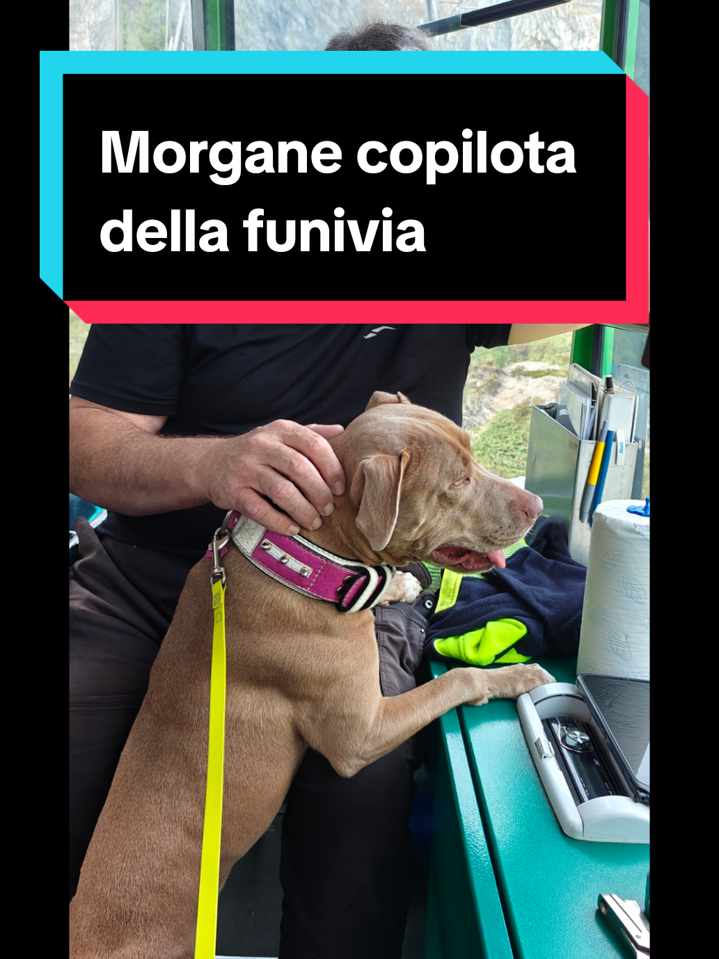 @Morgane Camilla