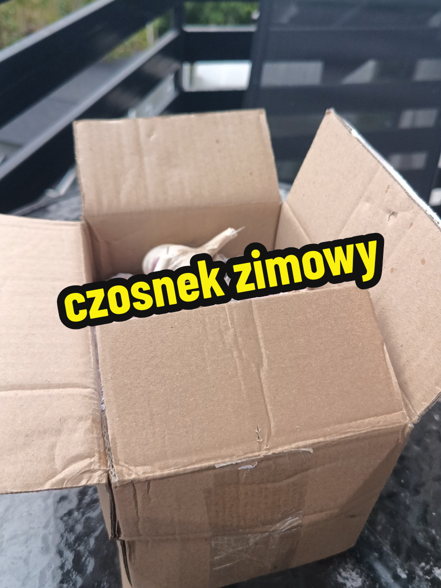 @Marcin ogrodnik