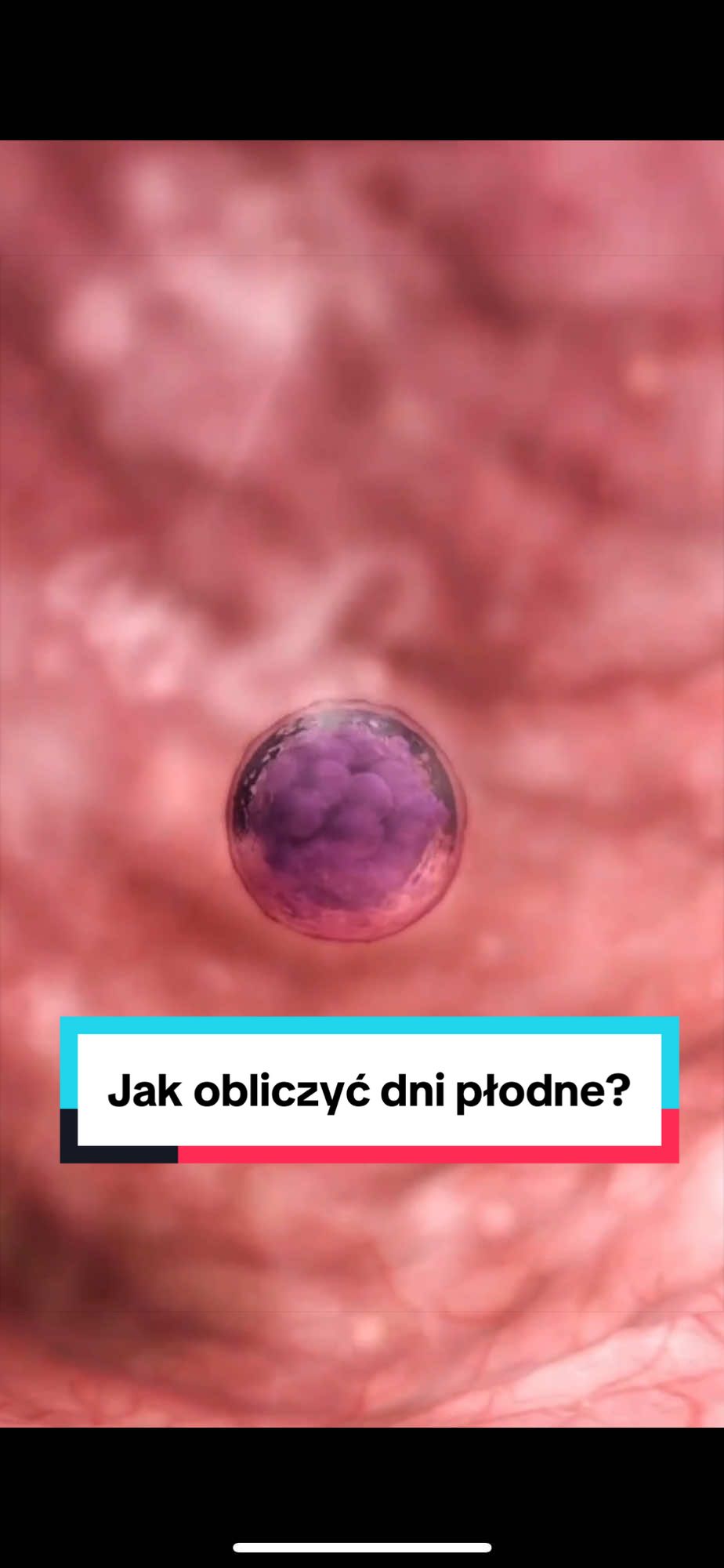 @Klinika Bocian