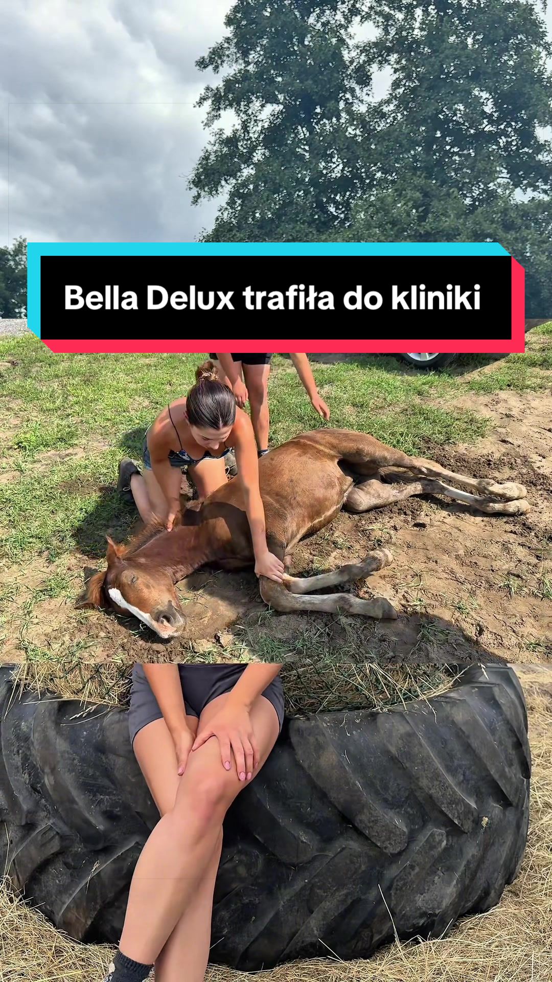 @Stado_Belli