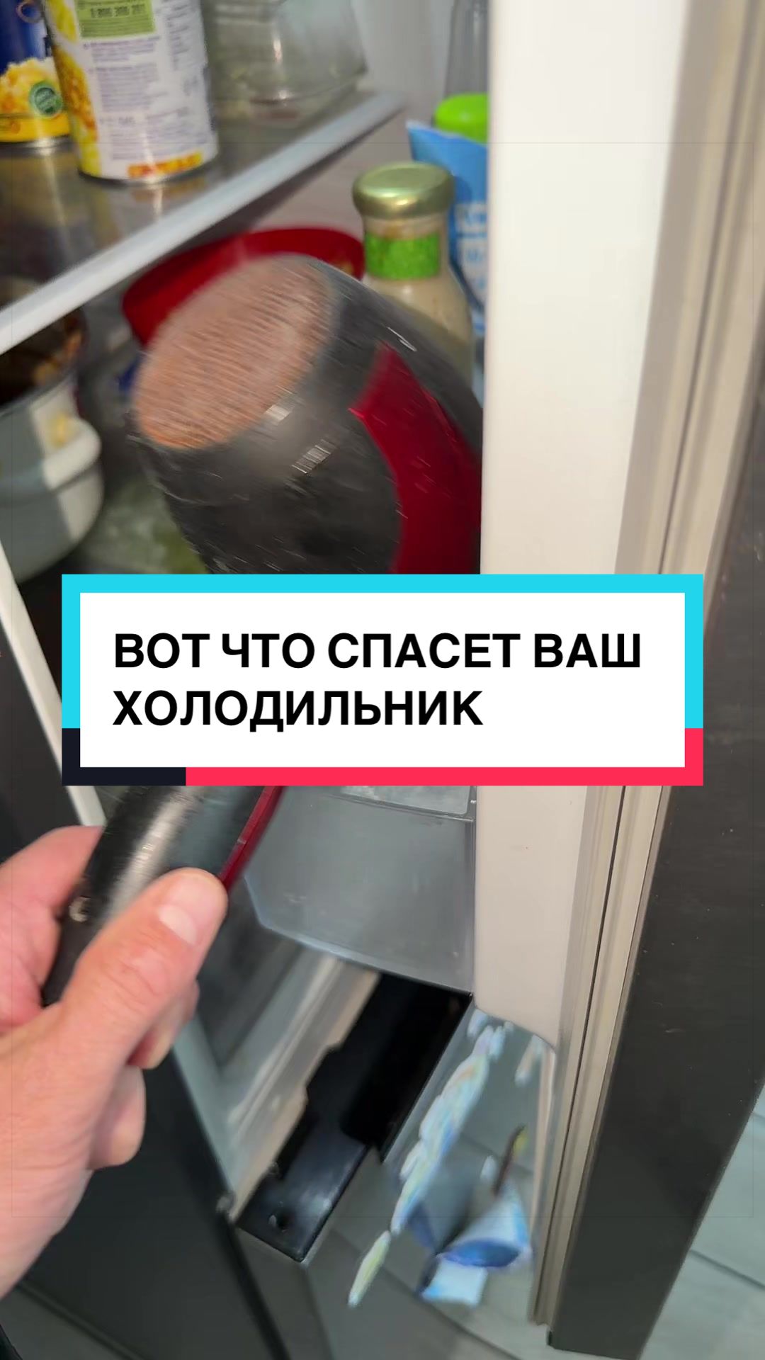 @laifhak_mozgi