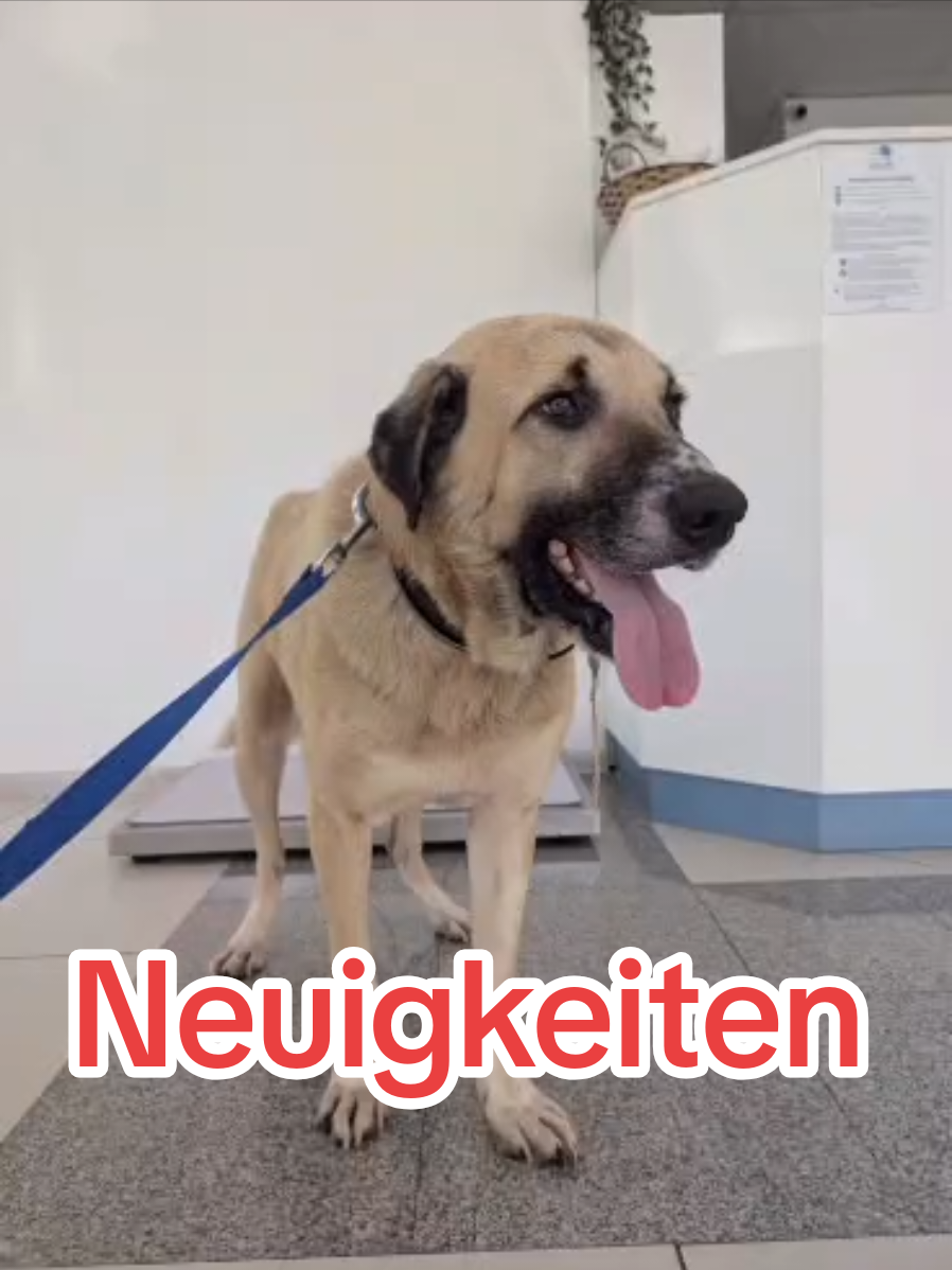 @ShelterBande