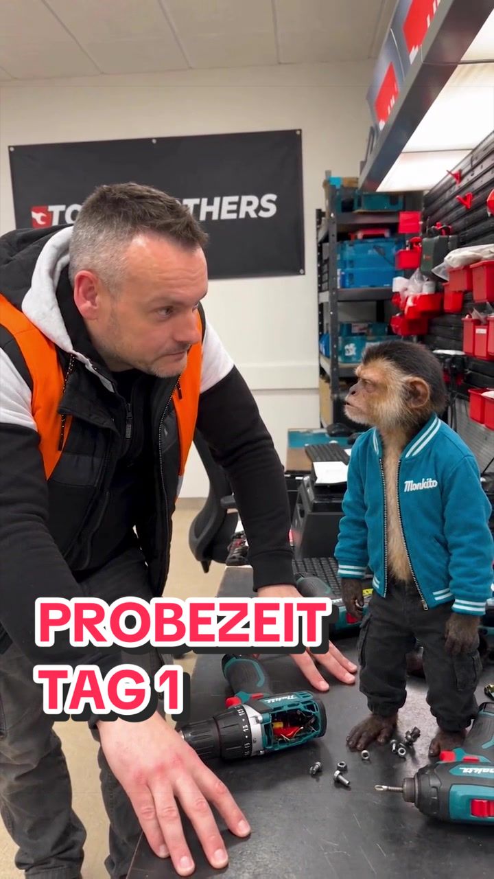 @Toolbrothers