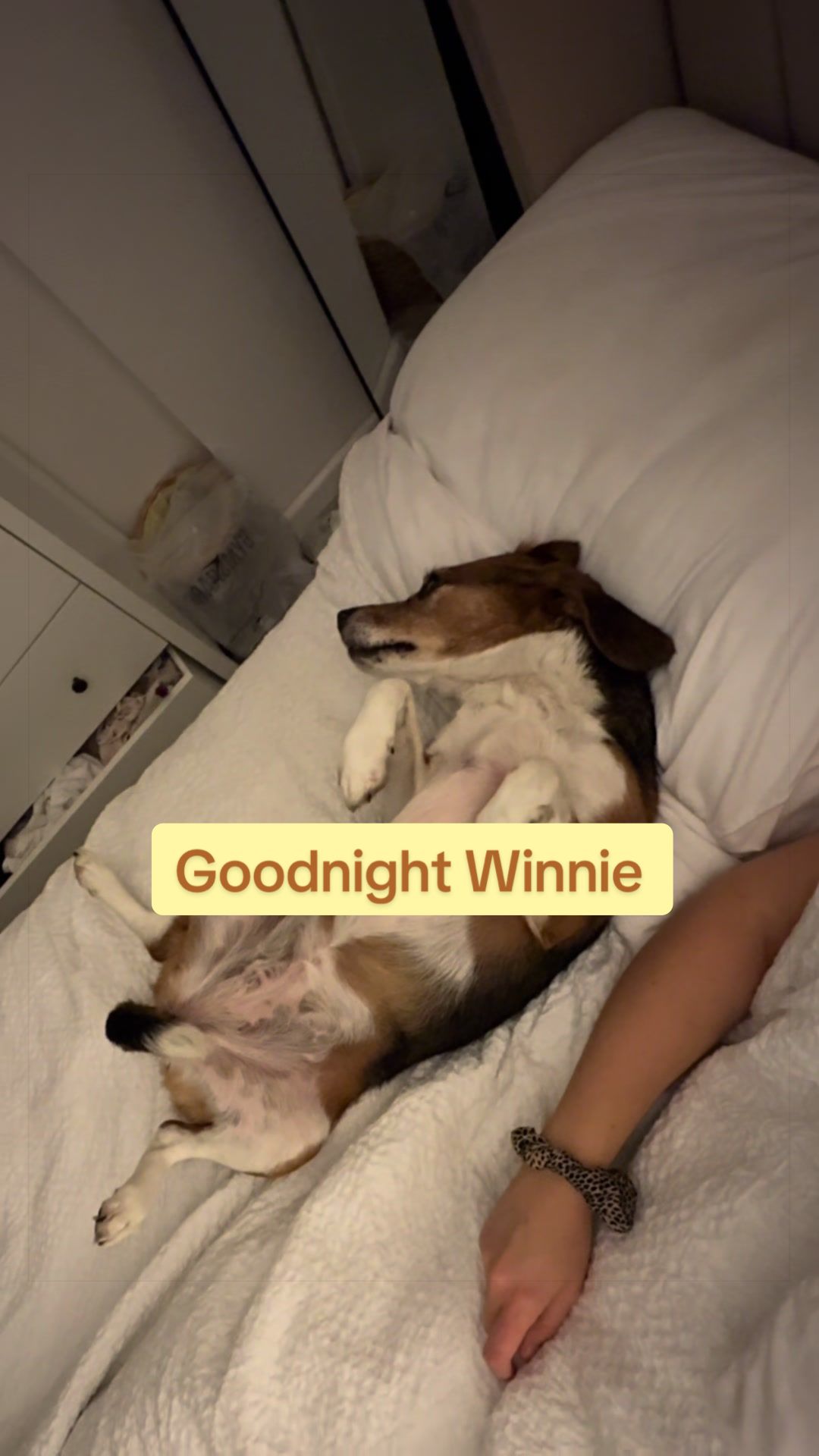 @Winnie&Sophie