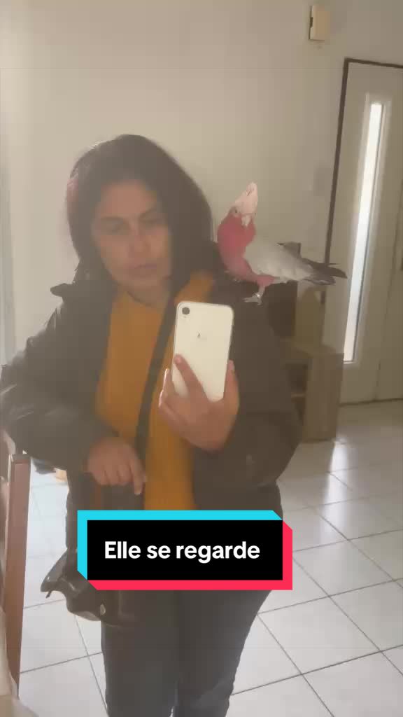 @Diana Torres