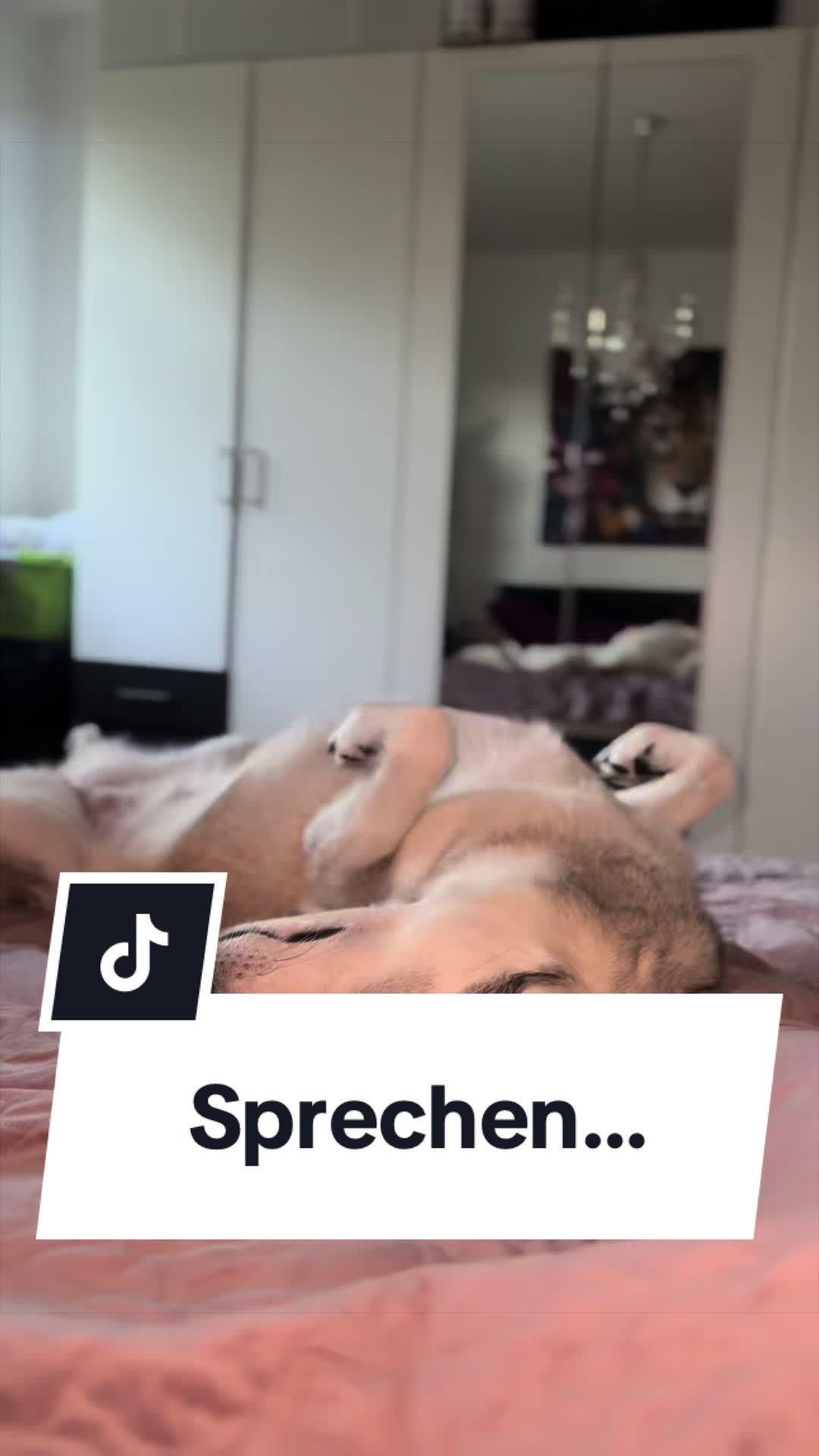 @Coco & Ylvi
