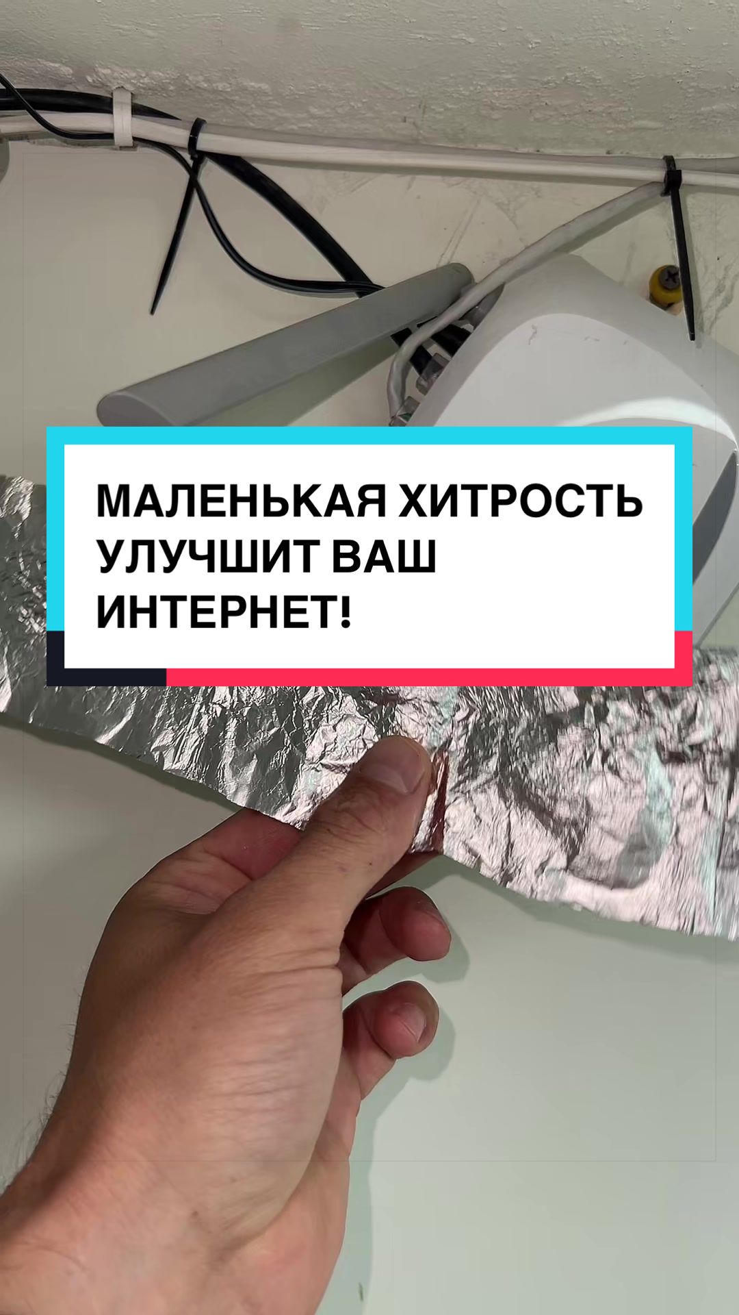 @laifhak_mozgi