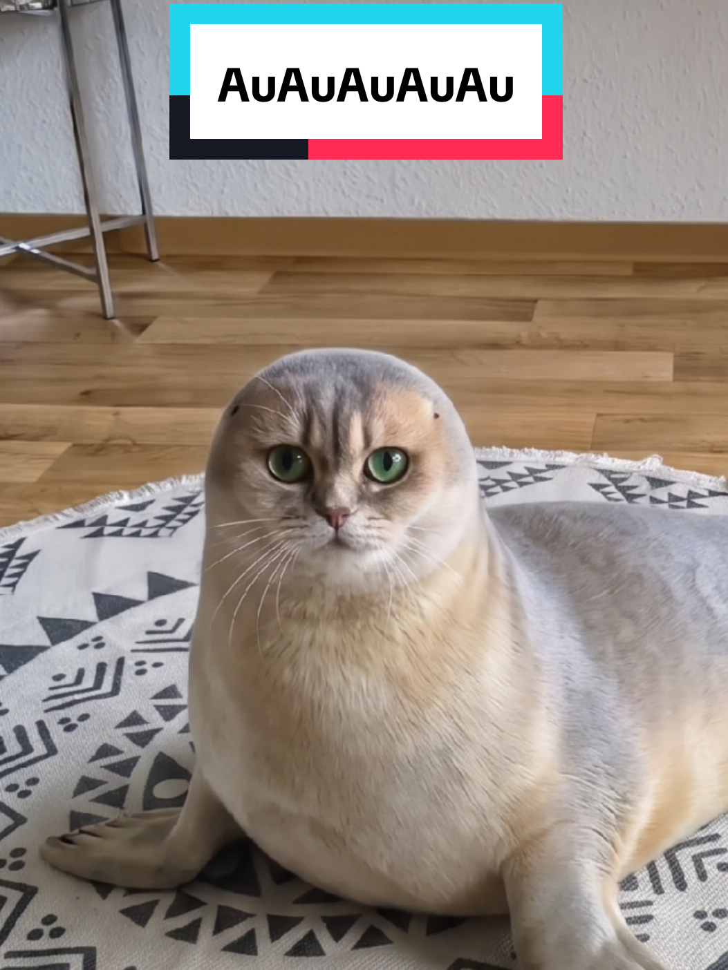 @Nala