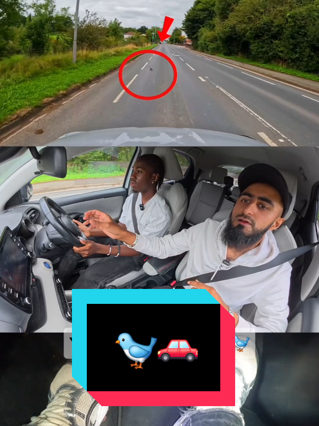 @Avadrive Driving