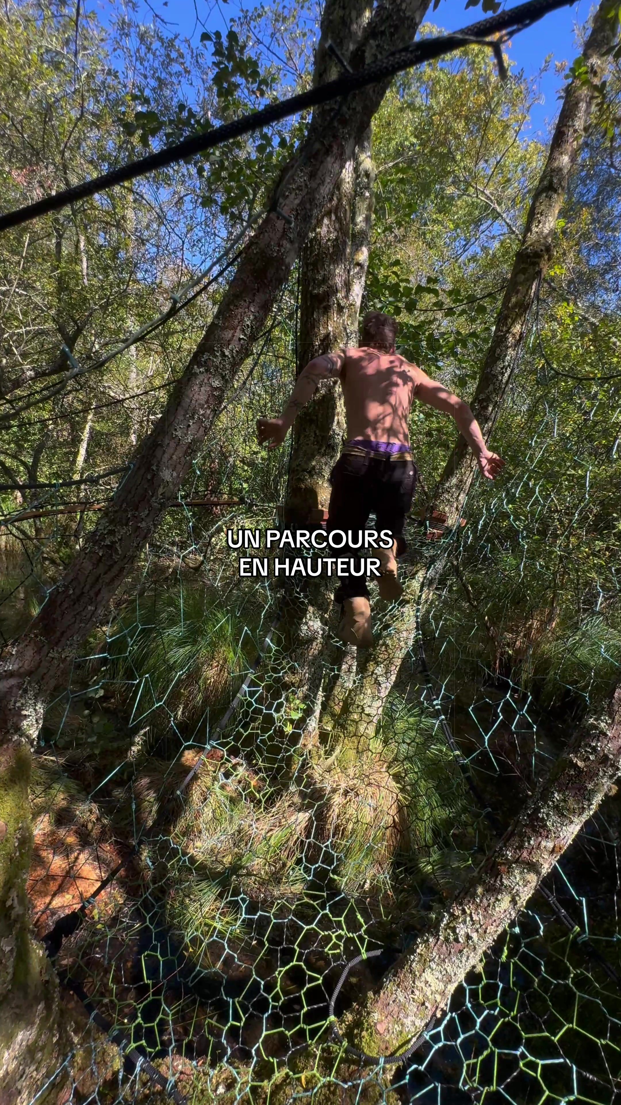 @Wildtreenet