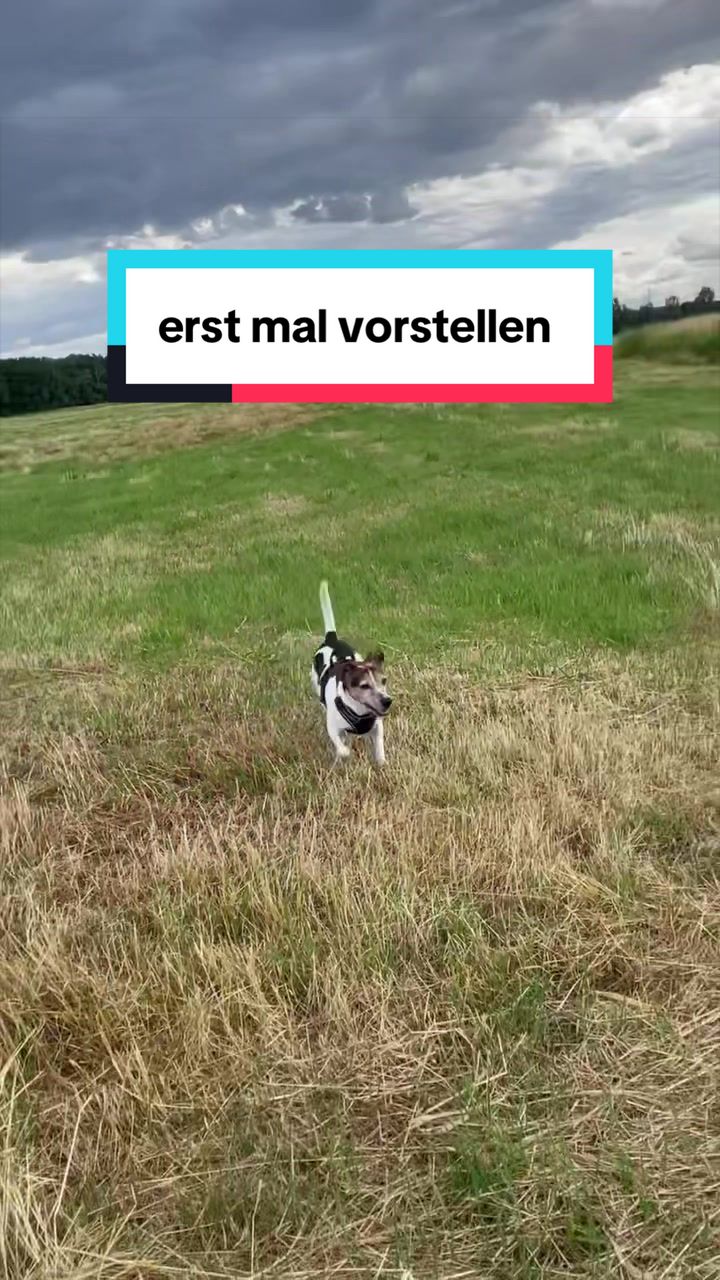 @Rocky und ich