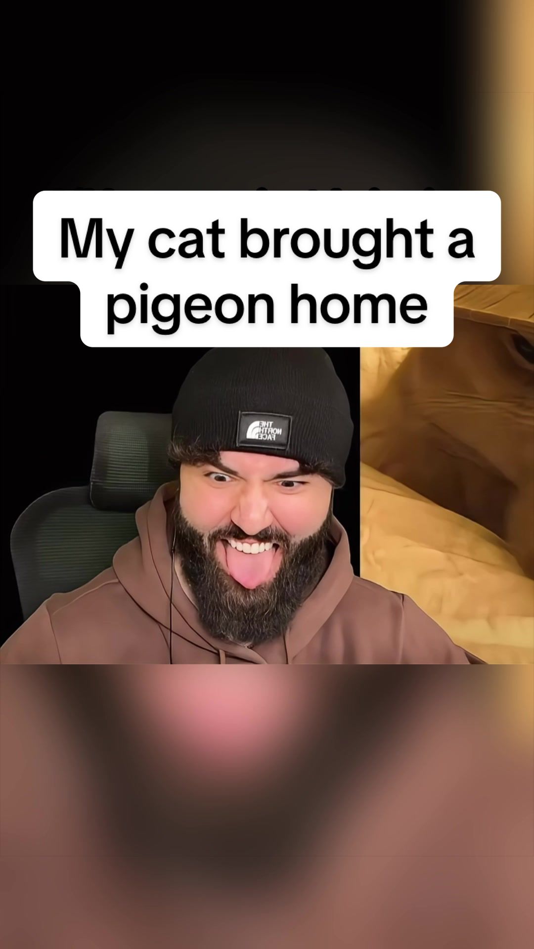 @Sxzxr