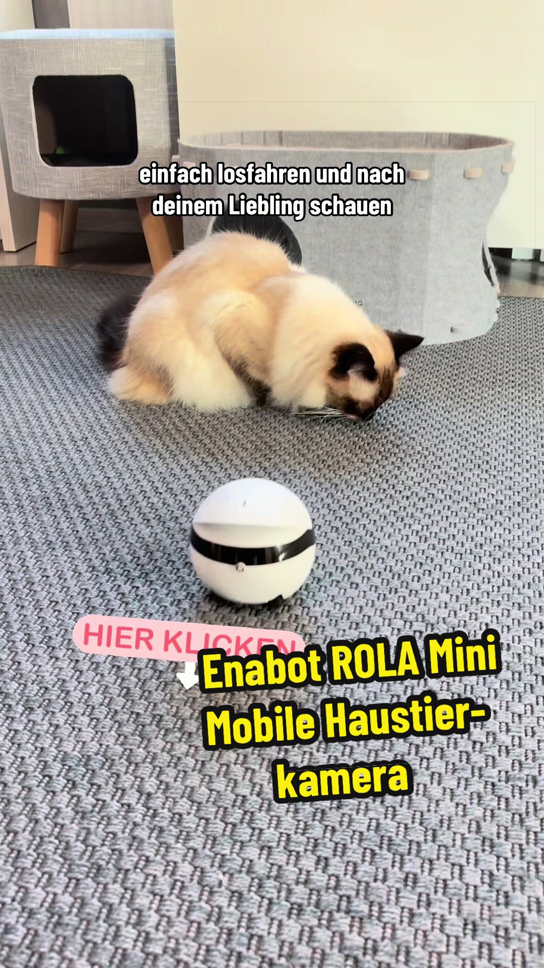 @😸 Rosa & Charlie 😸