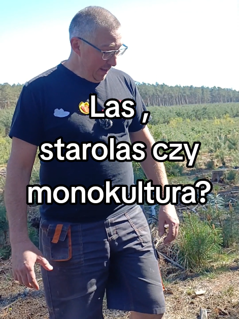 @Kominki GP