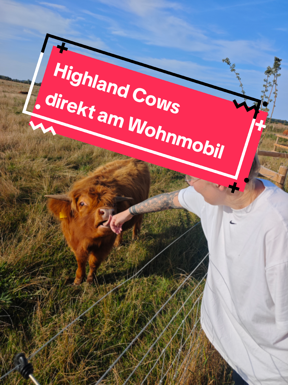 @Lehrer MCWorld666
