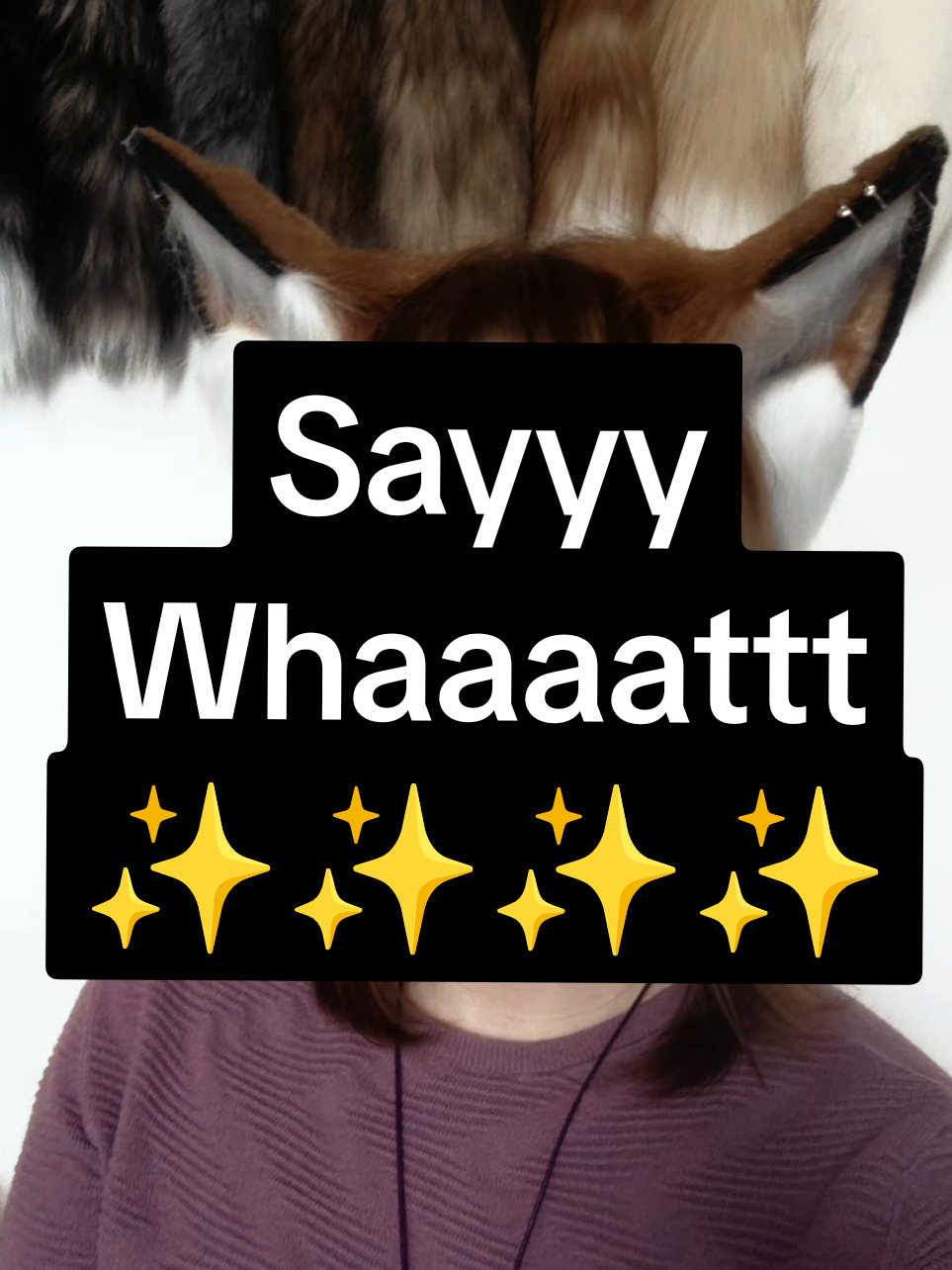 @Skylight_Fox
