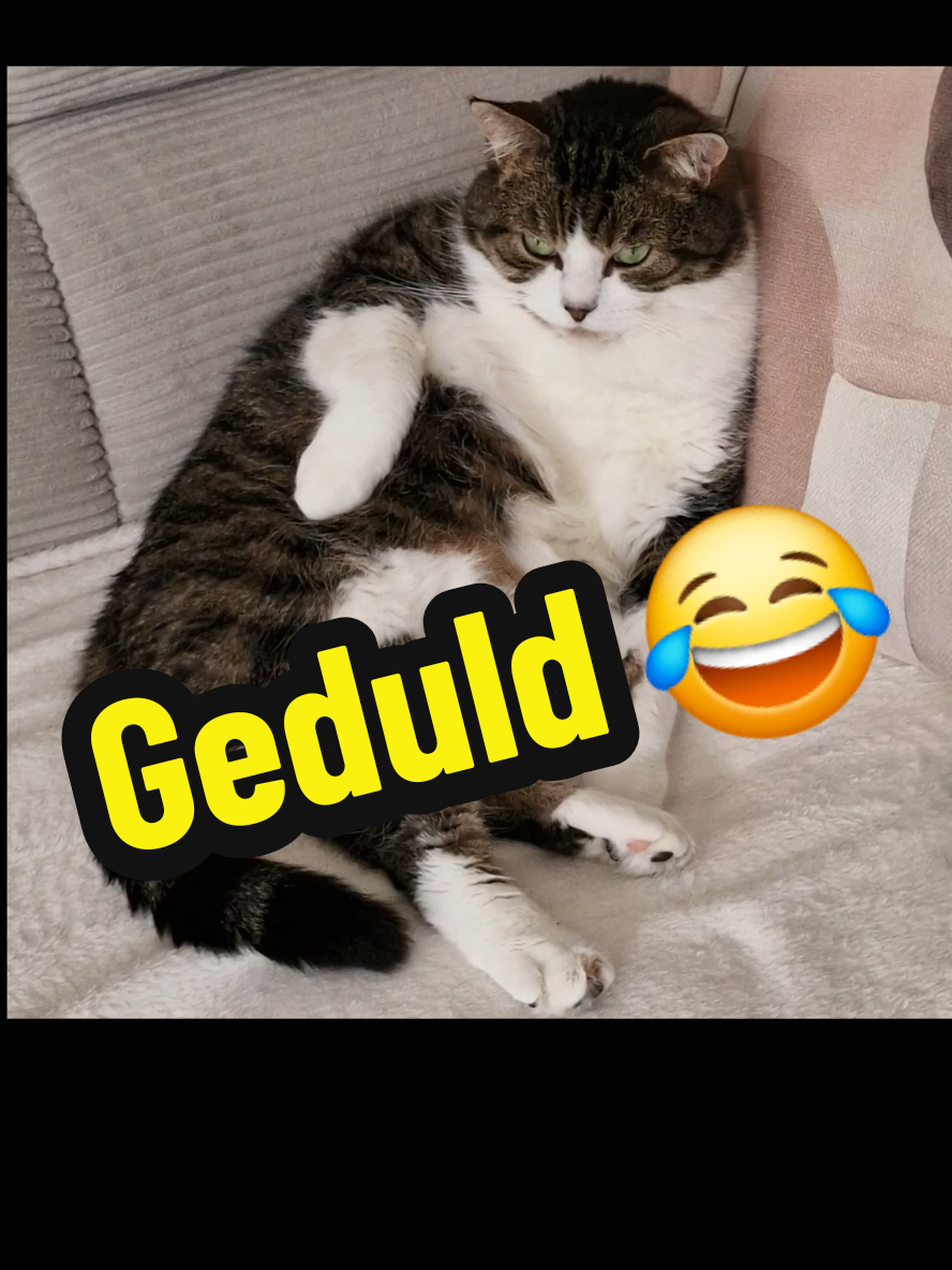 @gp