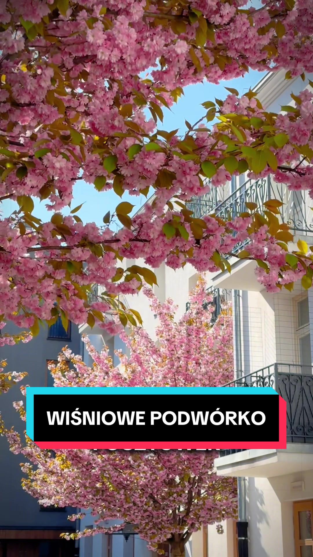 @Ł&oacute;dź 🦄
