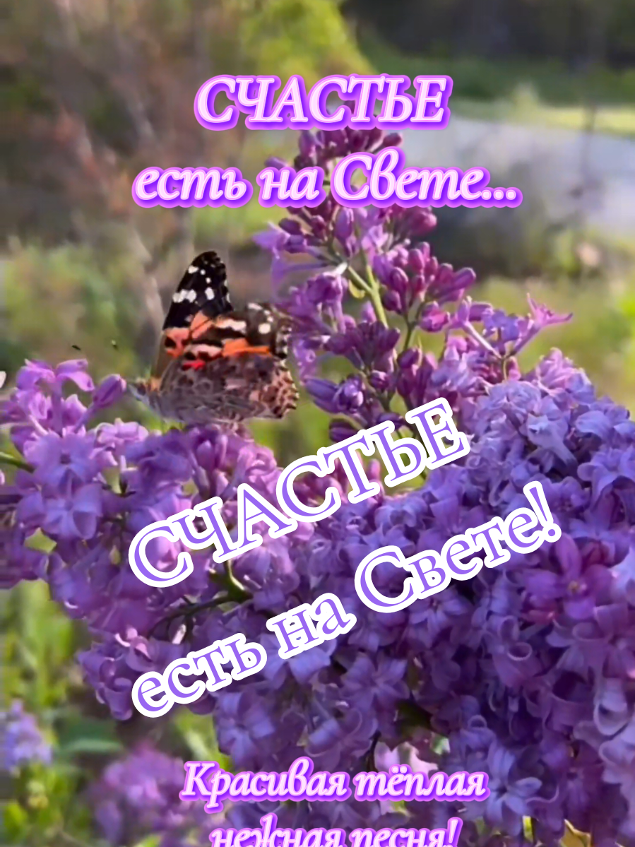 @✨Елена✨