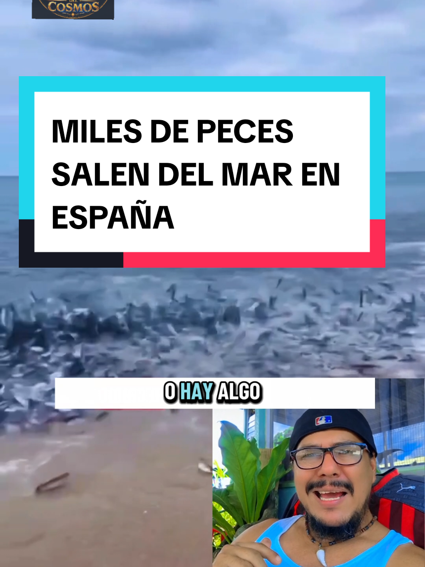 @CABALLEROS DEL COSMOS