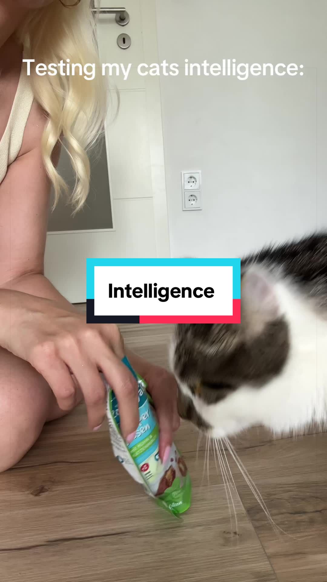@Fibi & Bobo