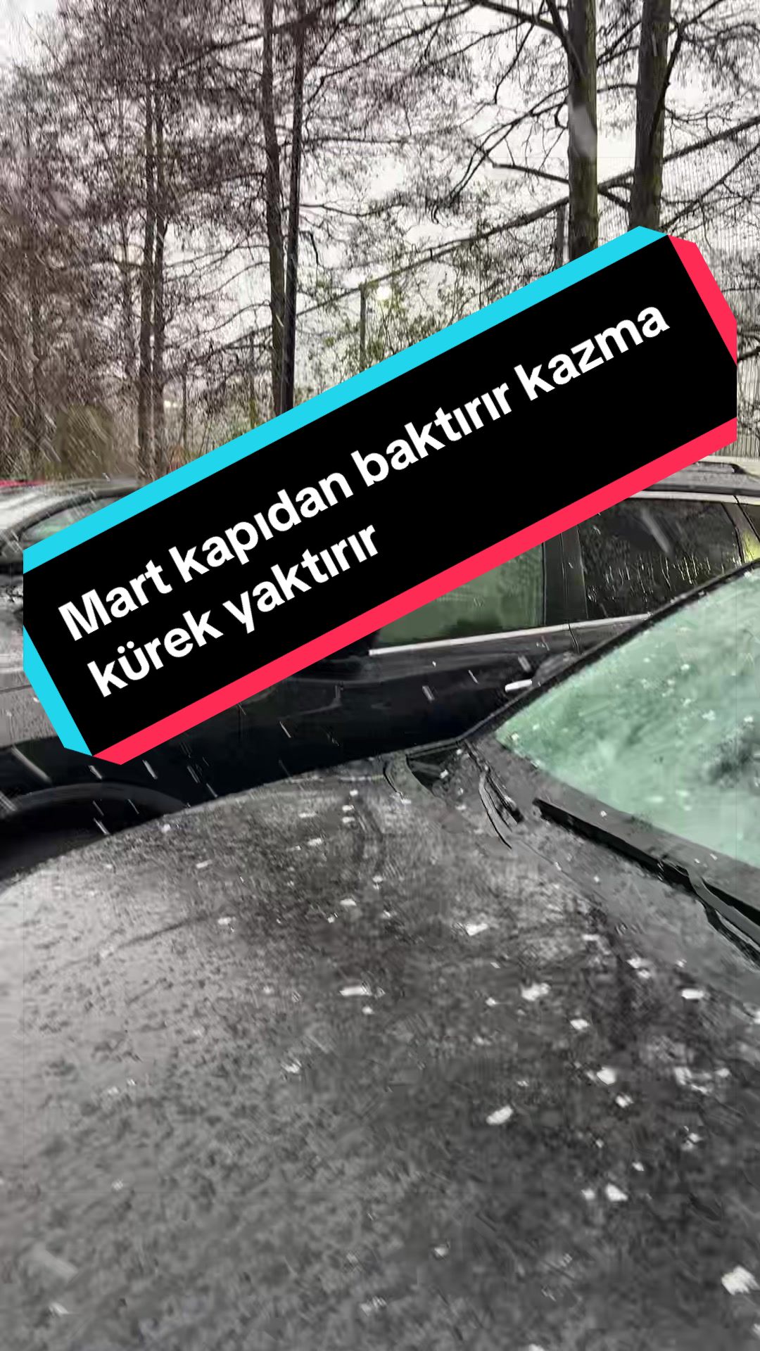 @gurbet kuşu40&06