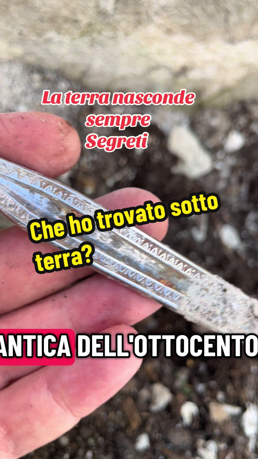 @Alessandro Cuomo ♌️