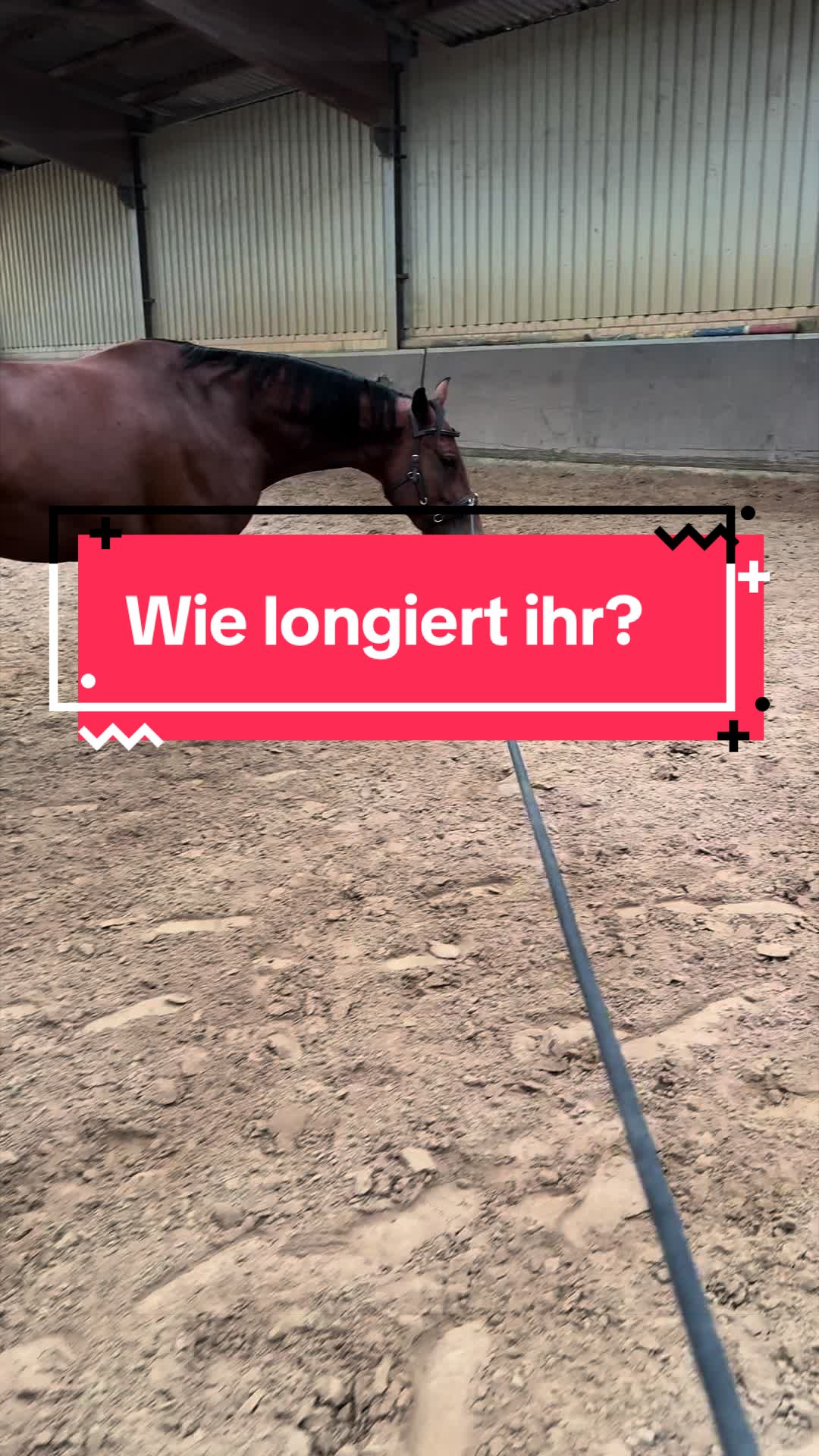 @Sarah Netzel🦄✨