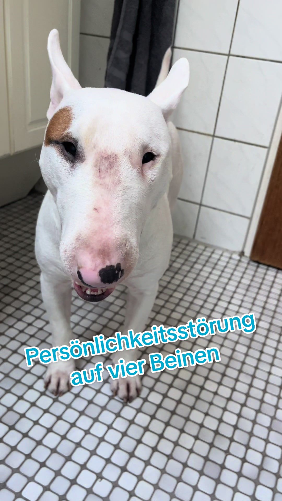 @Rumpelstilzchen