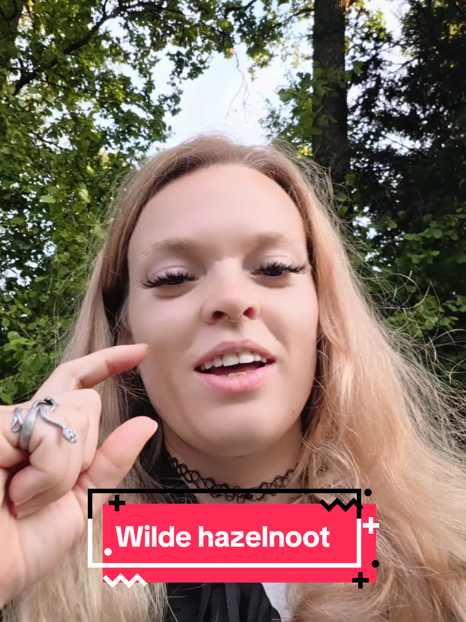 @lalaesmee