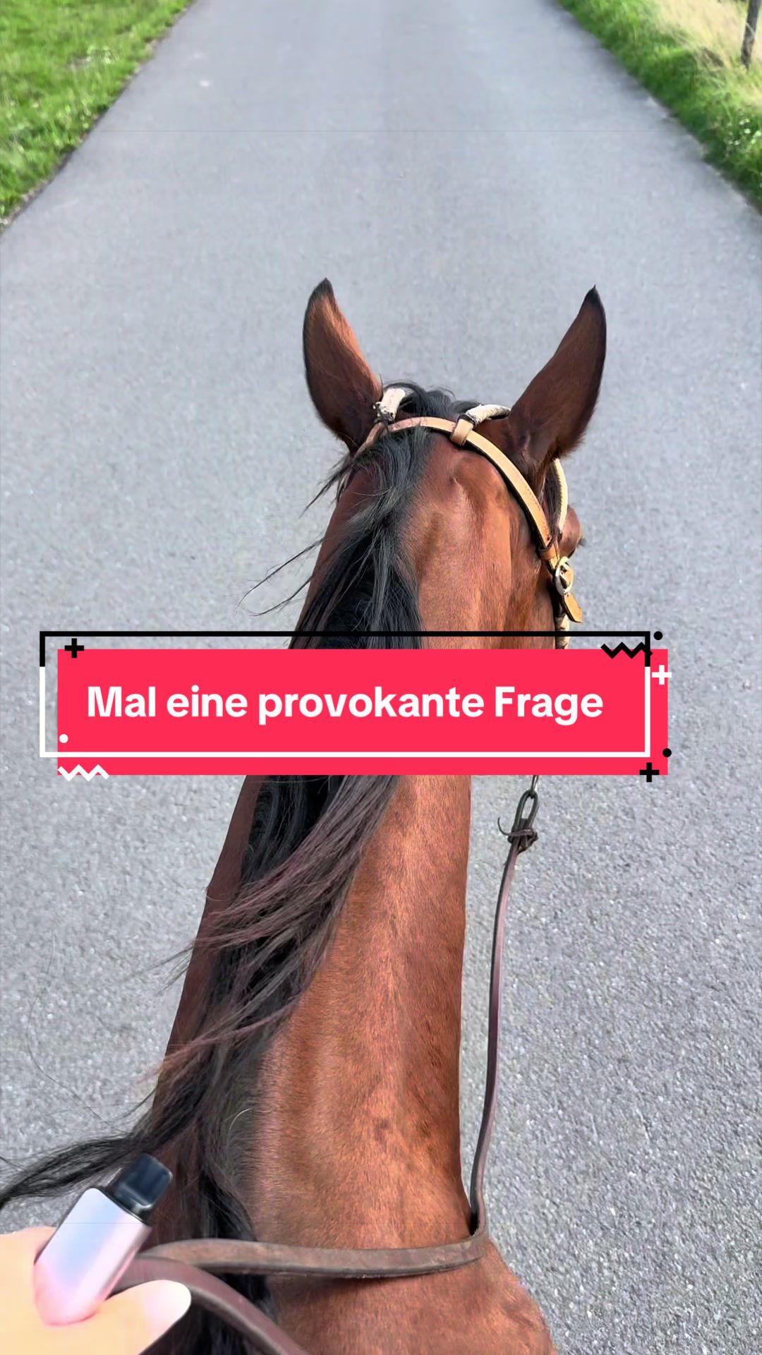 @Sarah Netzel🦄✨