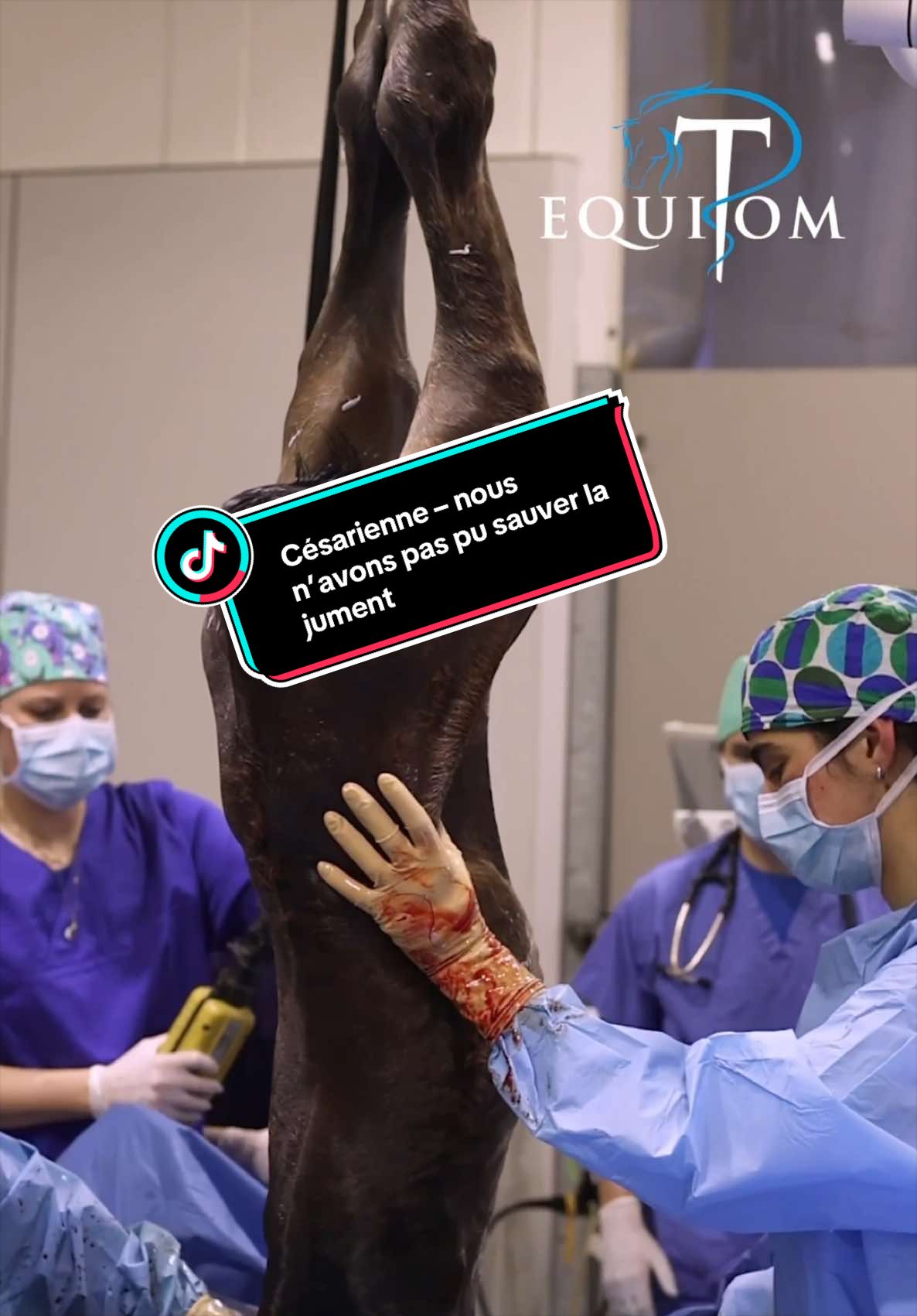 @Equitom