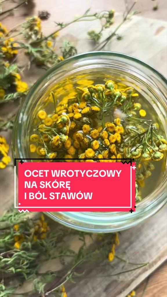 @zacznijodzdrowia.pl