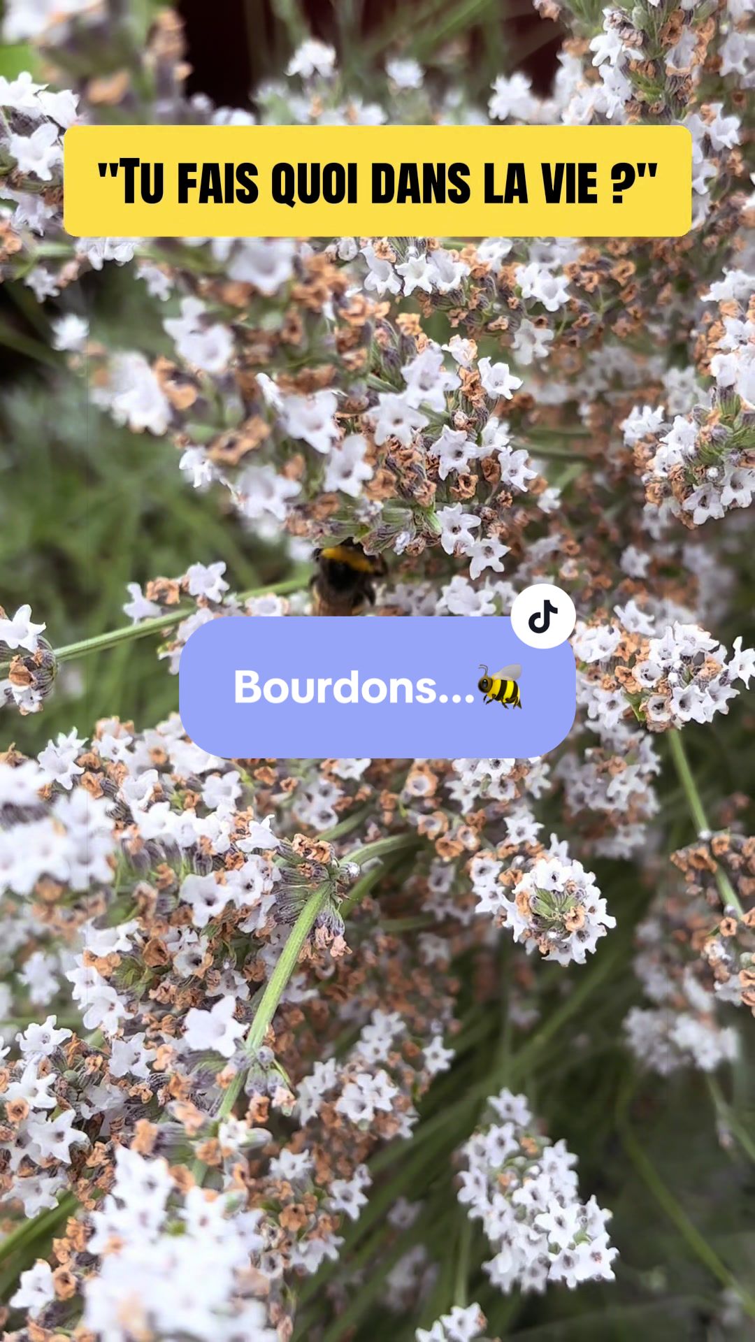 @🌺Sandrine🍃🇧🇪