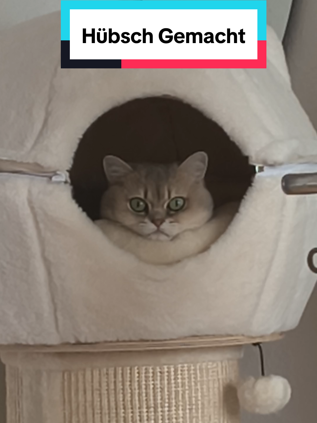 @Nala