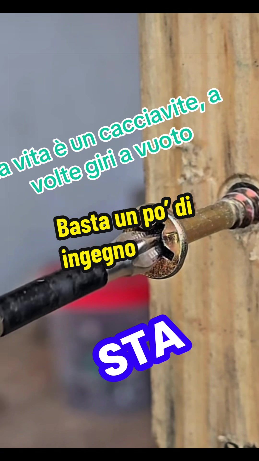 @Alessandro Cuomo ♌️