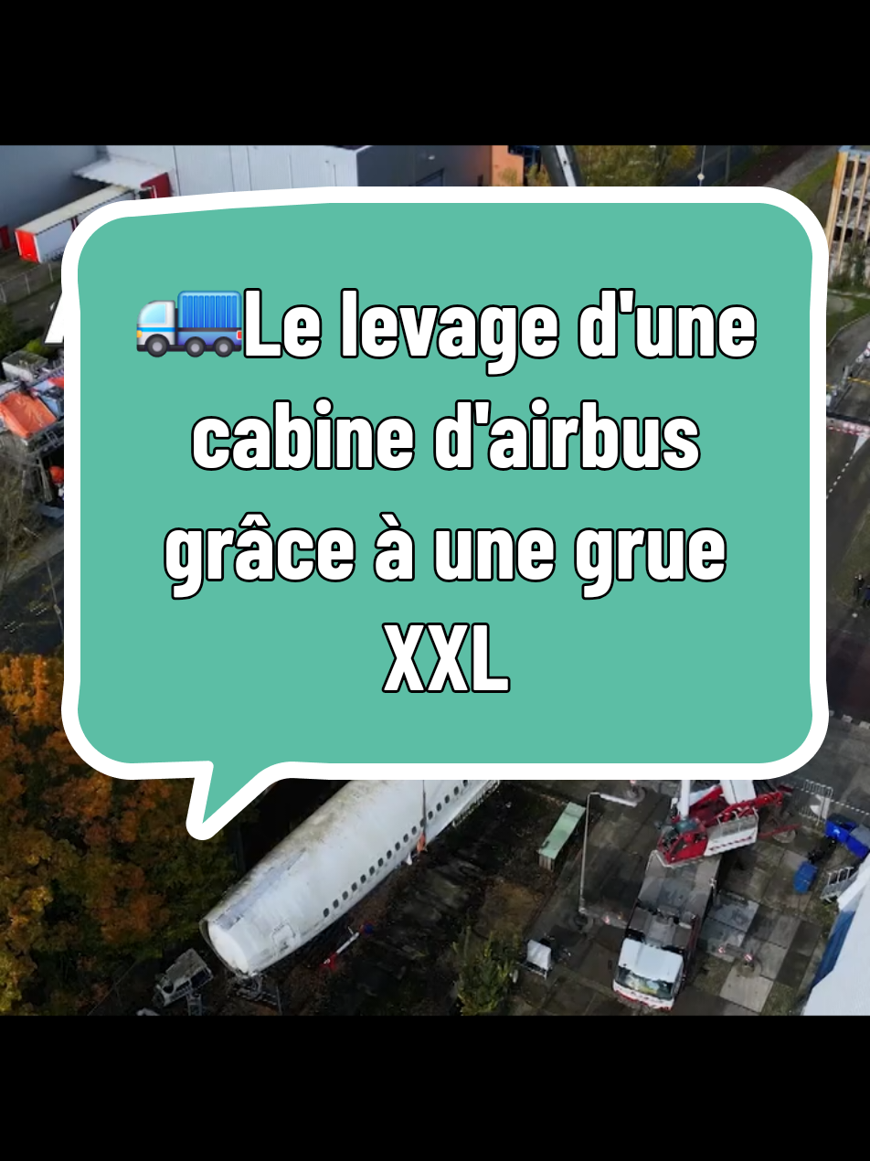 @amine
