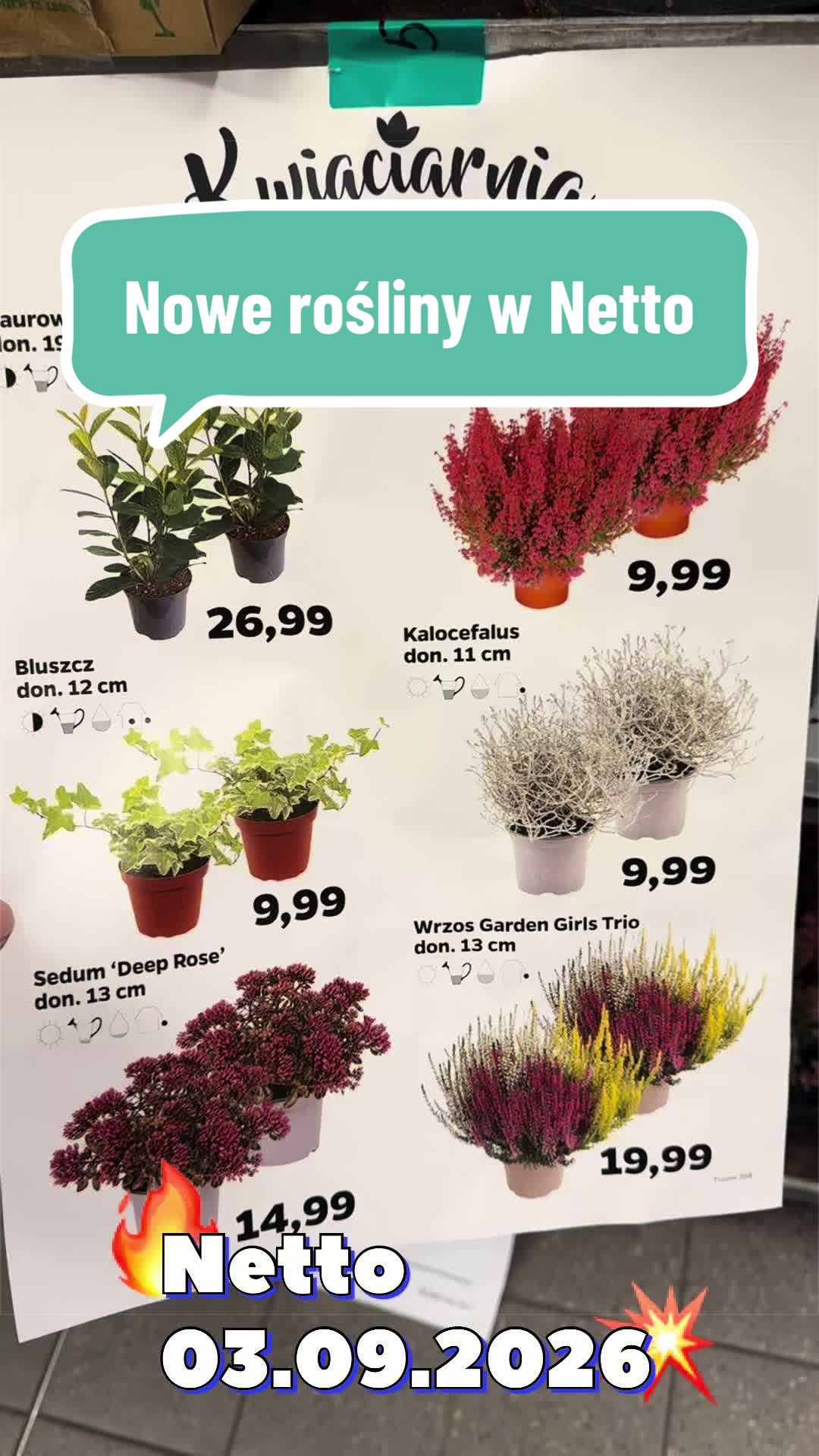 @maciej.plants