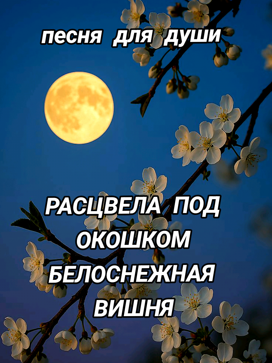 @🇰🇿 TАТЬЯНА 🇩🇪
