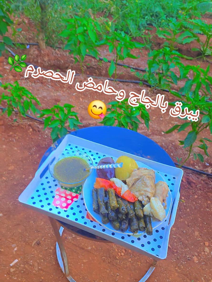 @🪻💟عائلة لموشي💟🪻