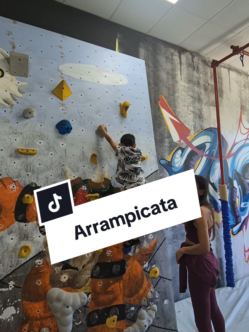 @familyaut
