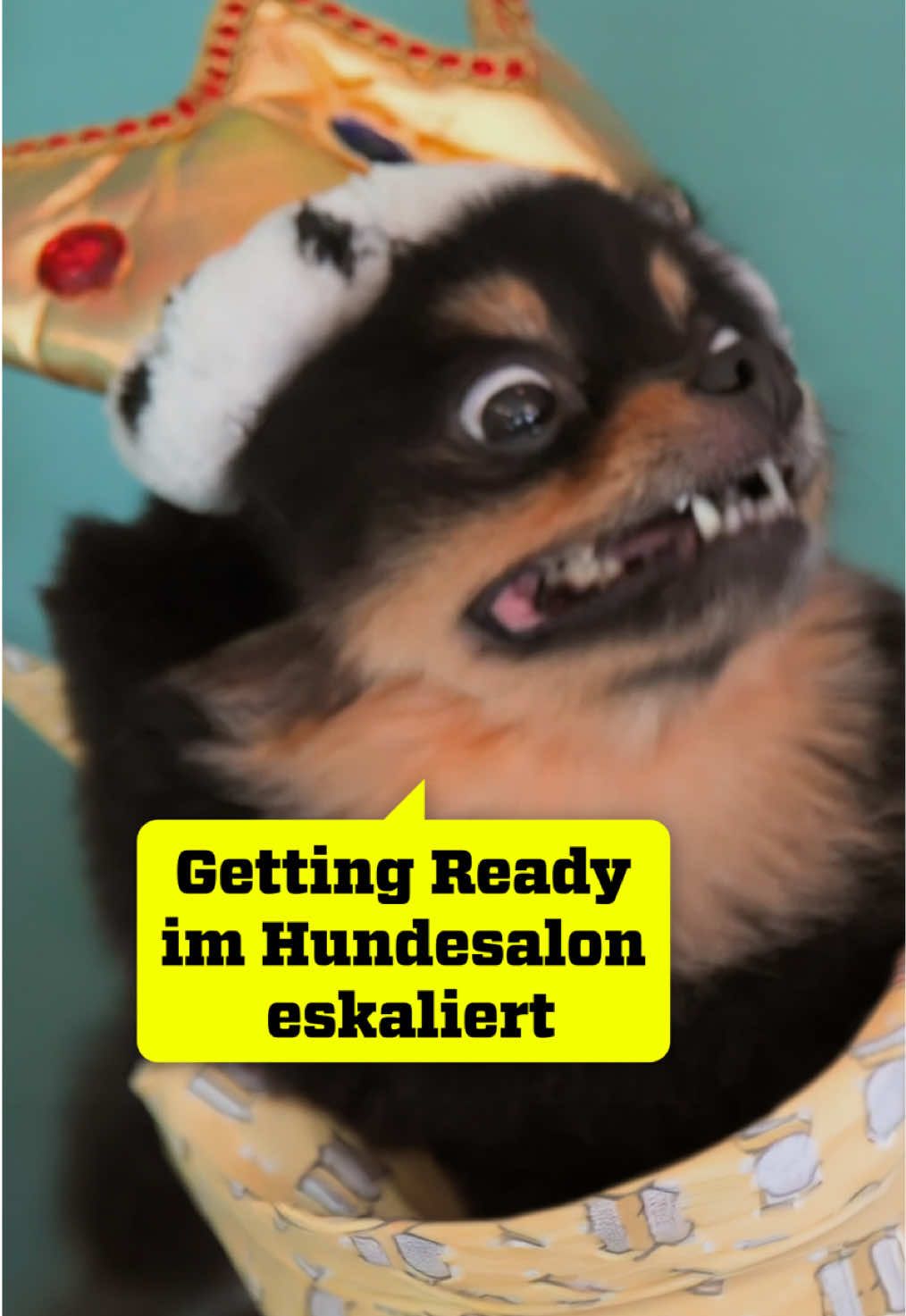 @ZDFinfo