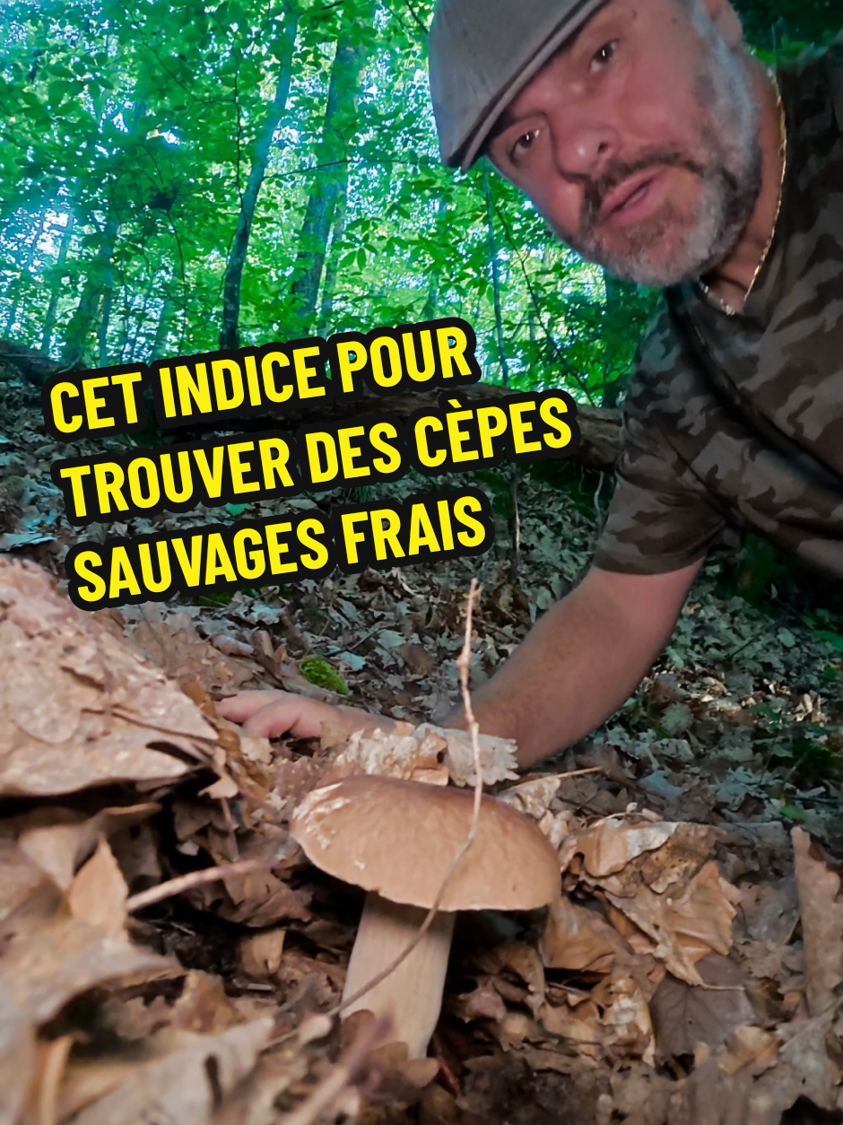 @Dan 🍄🟫 Le Champologue
