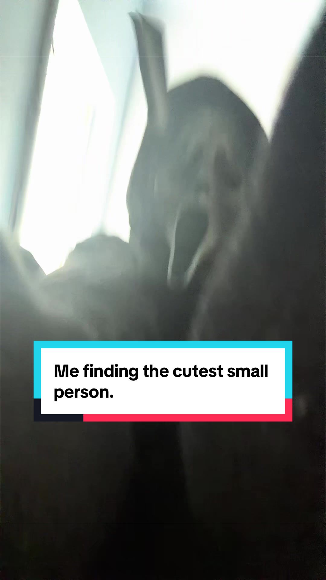 @๐๐๐๐๐๐๐_๐ฒ๐๐๐๐