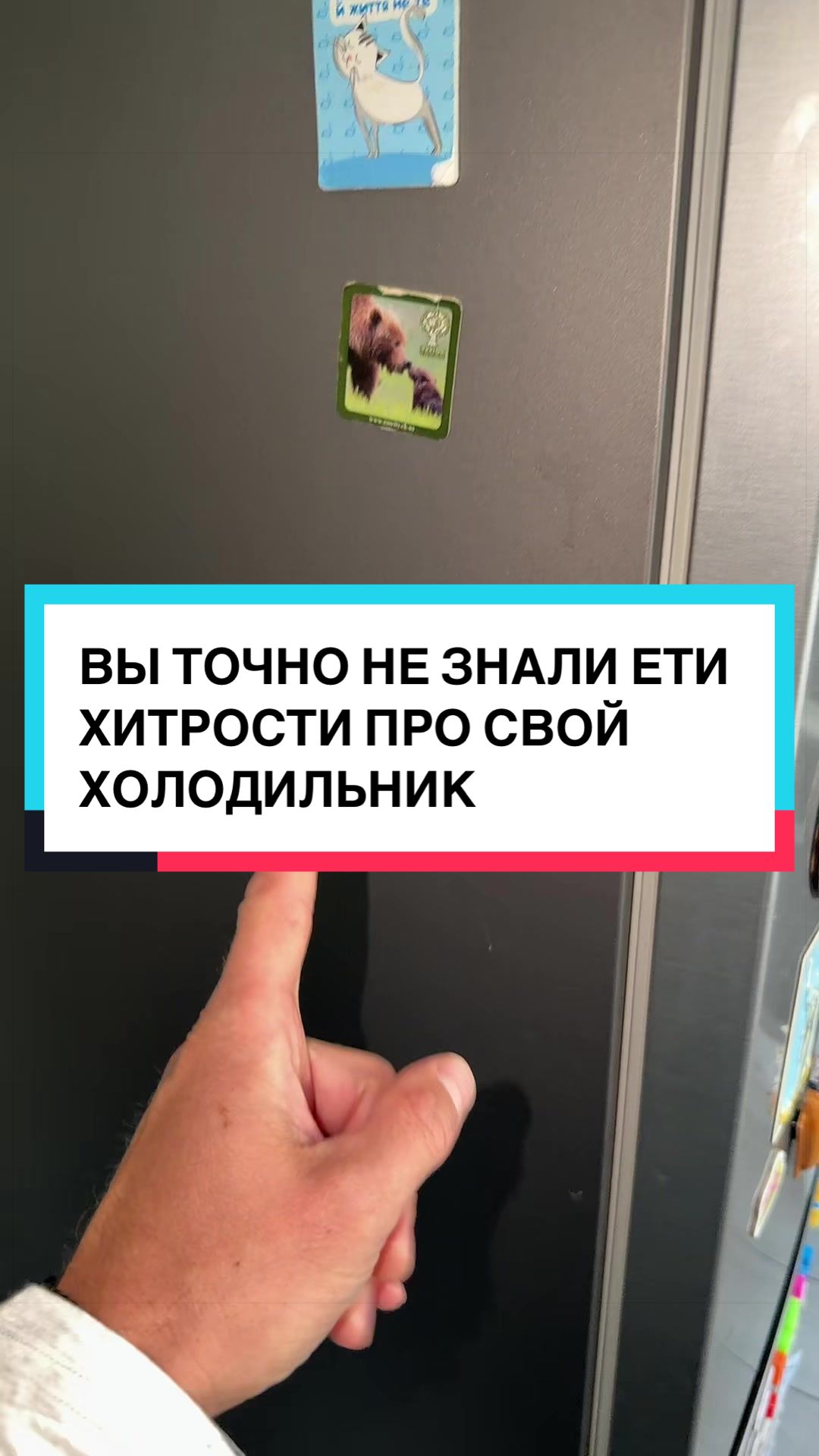 @laifhak_mozgi