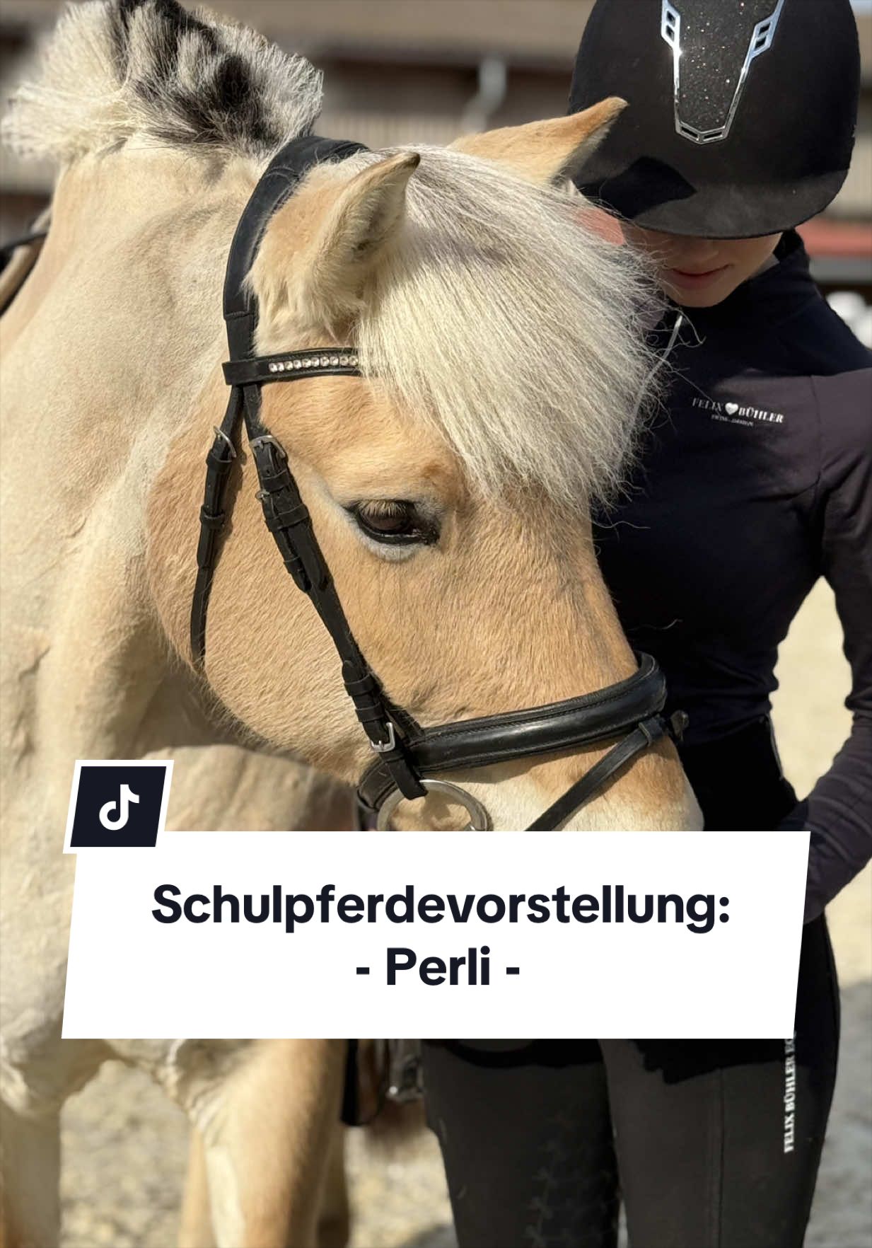 @Sophia • SL Reitschule